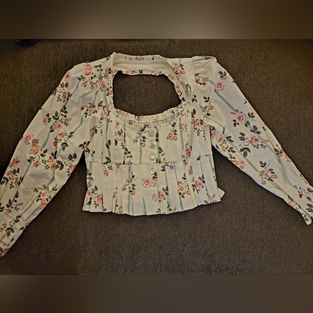 For Love and Lemons Floral Striped Cropped Blouse (SIZE L)